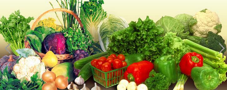 辽宁蔬菜批发大石桥市瑞丰绿色蔬菜种植有限公司专业种植图片