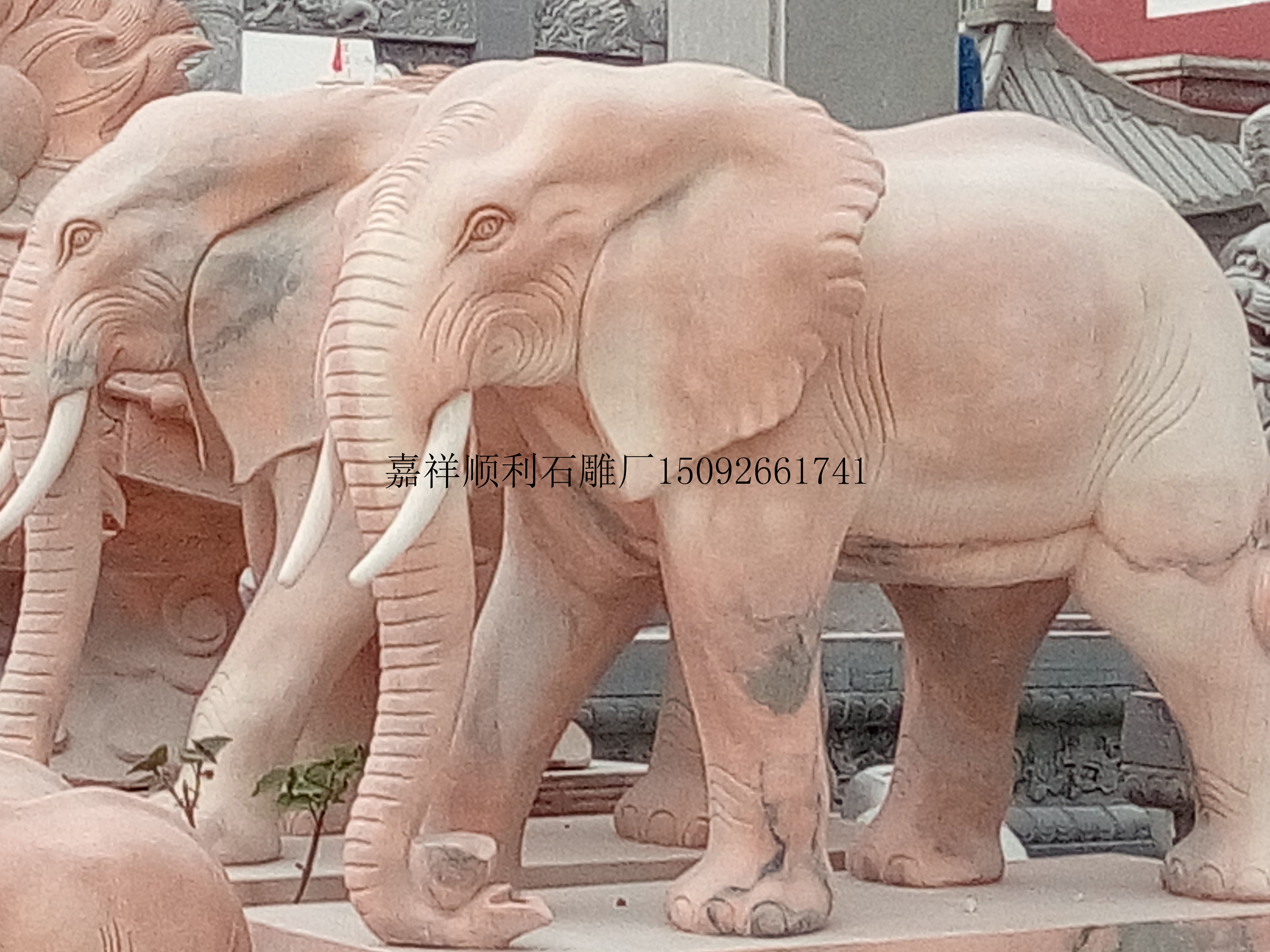 石雕大象晚霞红大象佛教石象石雕象花岗岩大象石雕大象生产厂家青石大象大象图片图片