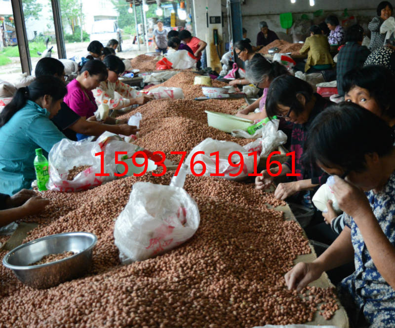 中国花生米出口厂家