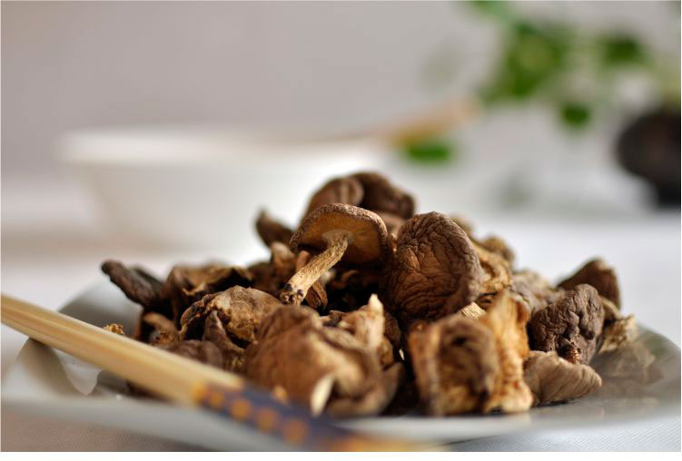玉龙雪山野生香菇,野生香菇多少钱一斤,云南特