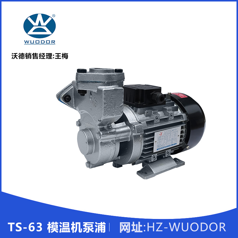 TS-63 模温机泵浦 TS-63 0.37KW高温油泵 热水循环泵 模温机水泵