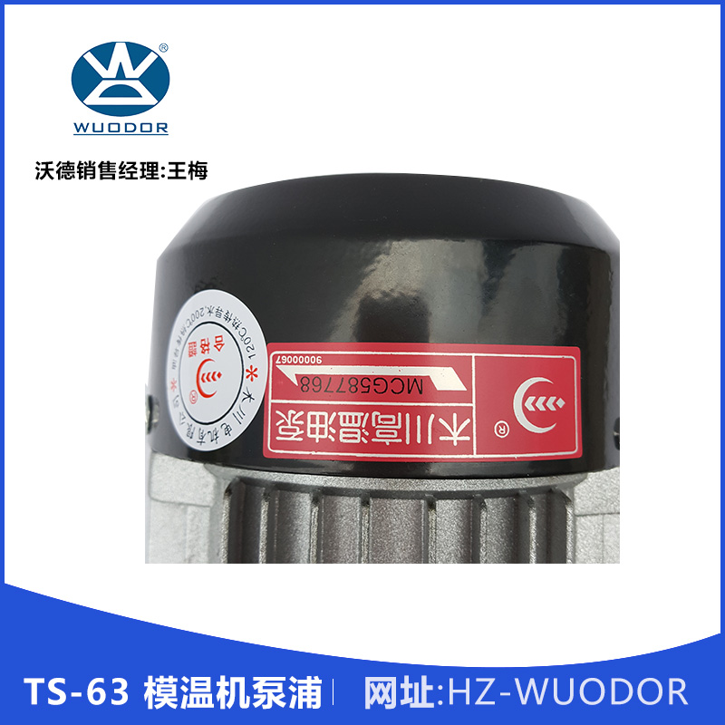 TS-63 模温机泵浦 TS-63 0.37KW高温油泵 热水循环泵 模温机水泵