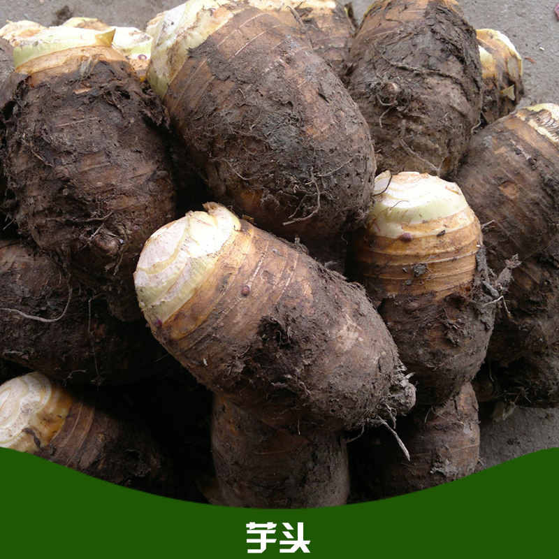 芋头 新鲜槟榔香芋毛芋农家自种生鲜绿色蔬菜图片
