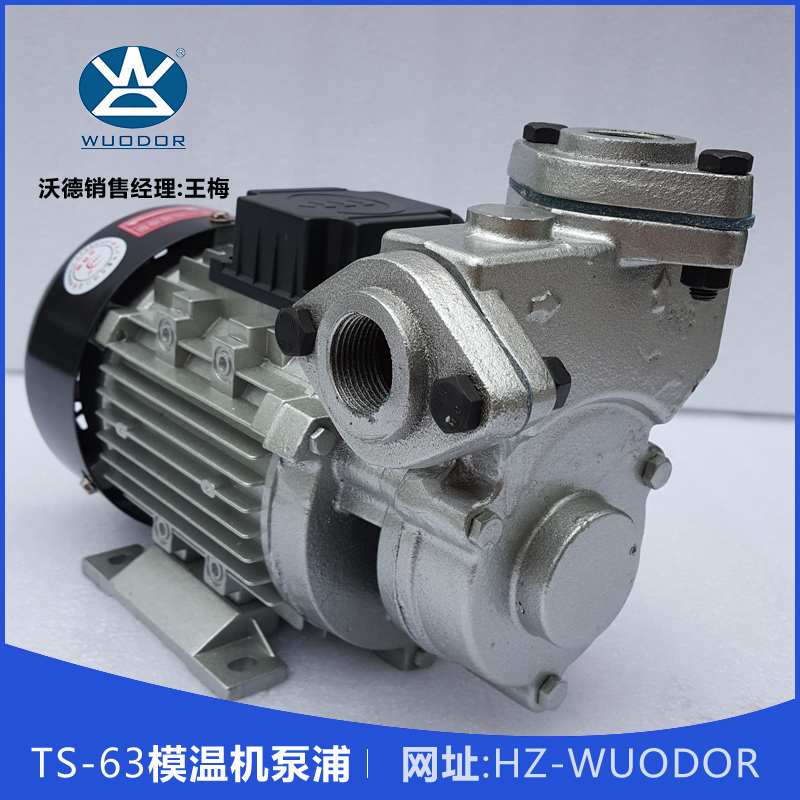 TS-63模温机泵浦 TS-63 0.37KW高温油泵 热水循环泵 模温机水泵