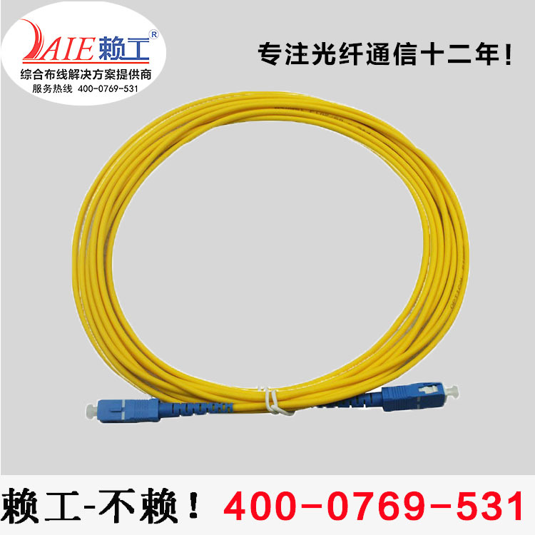 厂家直销赖工fc光纤跳线 单模单芯3米长跳线尾纤 光纤连接线图片