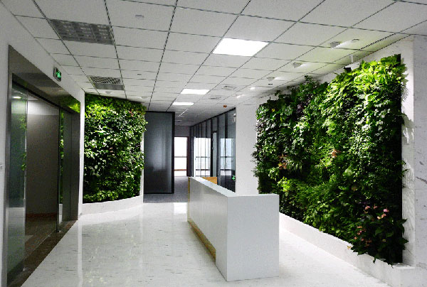 南京市室内外植物墙厂家南京室内外植物墙立体绿化垂直绿化做的好