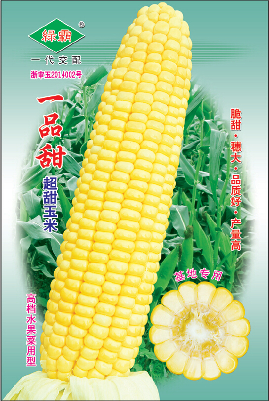 广东耐热耐湿糖度高丰产玉米种子批发报价电话