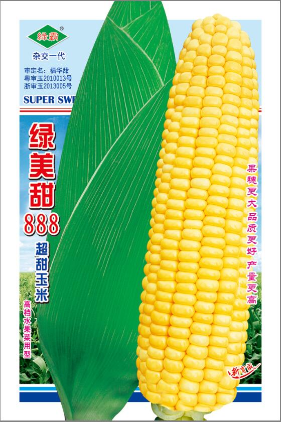 超甜玉米种子 绿美甜888 品质高 水果型 果穗大 高档蔬菜