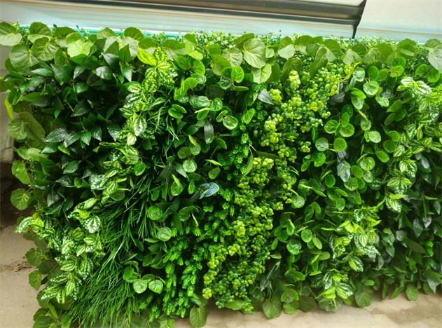 北京绿植墙安装墙面仿真植物装饰前台背景墙绿植装饰绿植墙草墙花墙背景墙图片