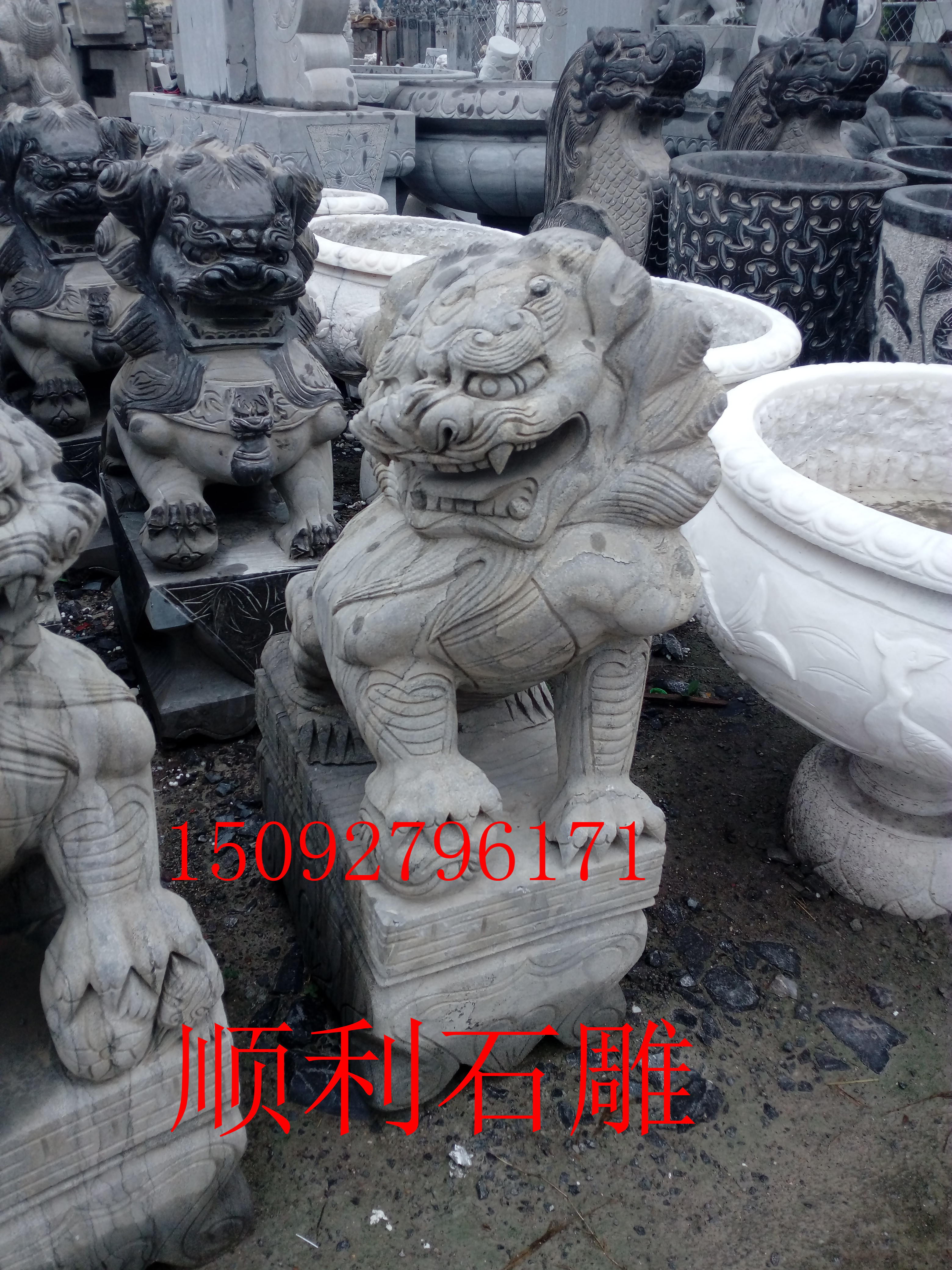 花岗岩石雕狮子传统狮子青石狮子，汉白玉石狮子，花岗岩石狮子，贵州，四川石雕供应。