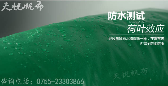 供应杭州篷布厂供应南韩篷布篷布防水帆布，广东帆布防水生产厂家图片