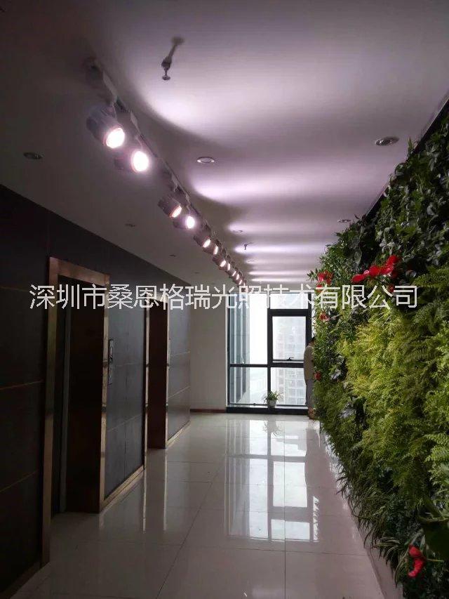 深圳市LED绿墙植物生长补光轨道射灯厂家