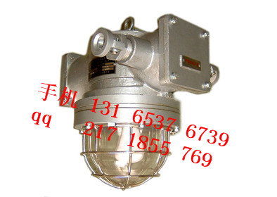 DGS23/127Y（A） 矿用隔爆型(无极)荧光灯-生产厂家