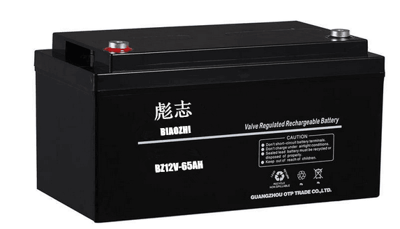 上海彪志铅酸免维护蓄电池12V65AH  UPS蓄电池厂家直供