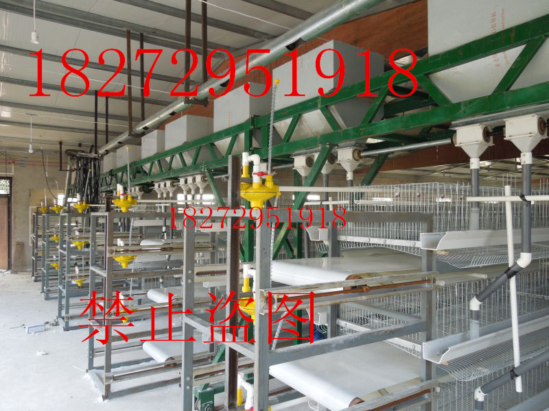 华顺牧业厂家供应A66层叠式鸡笼图片
