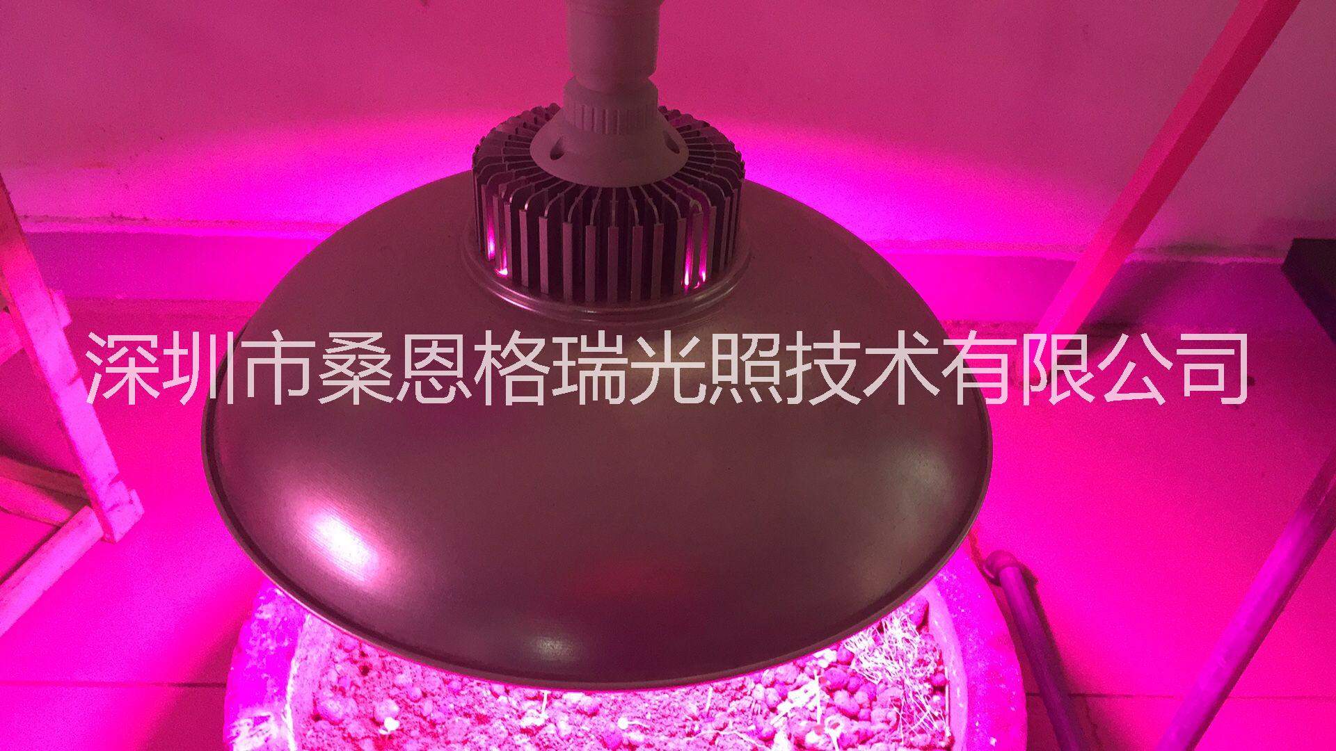 深圳厂家蔬菜大棚植物生长补光灯批发