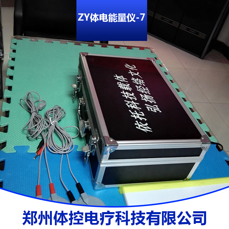 ZY体电能量仪-7ZY体电能量仪-7 ZY体电能量仪-7供应商 ZY体电能量仪-7直销 ZY体电能量仪-7价格