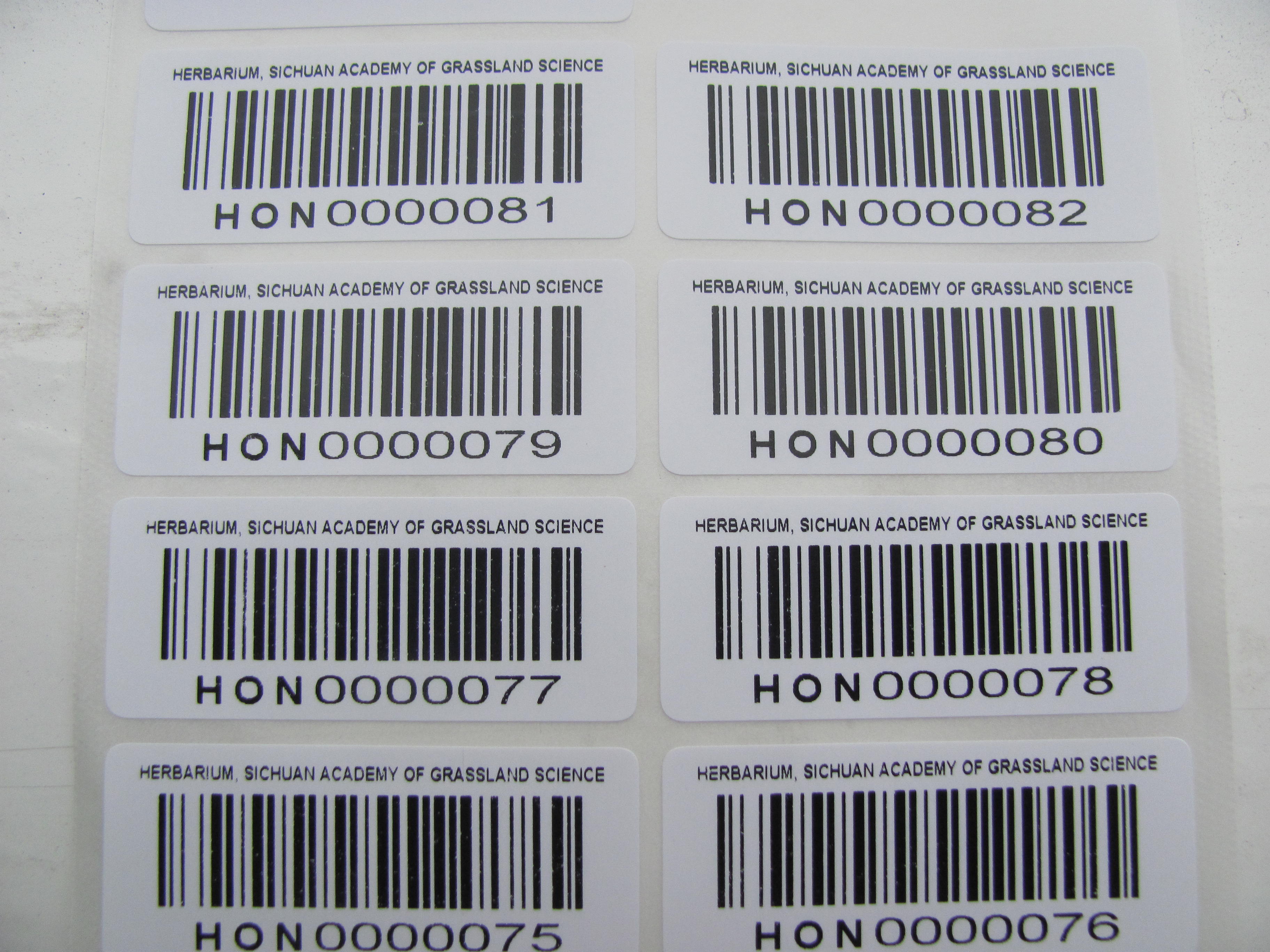 条形码标签制作  流水号标签  打印条形码标签厂家