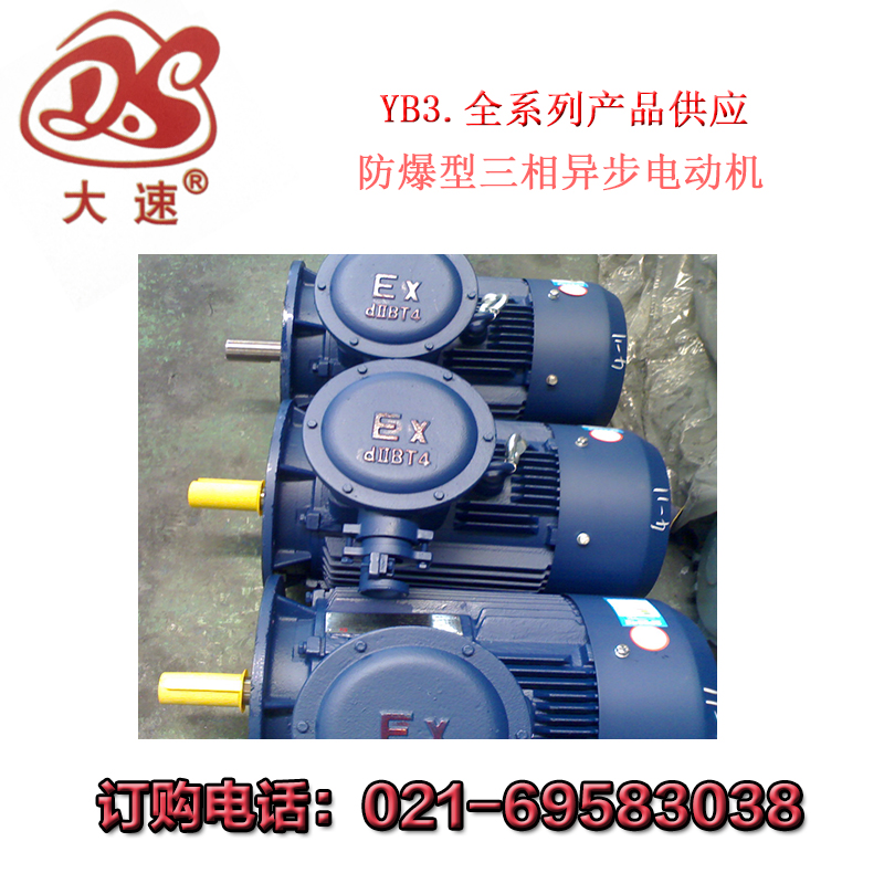 大速电机公司厂家供应Y2三相异步电机图片