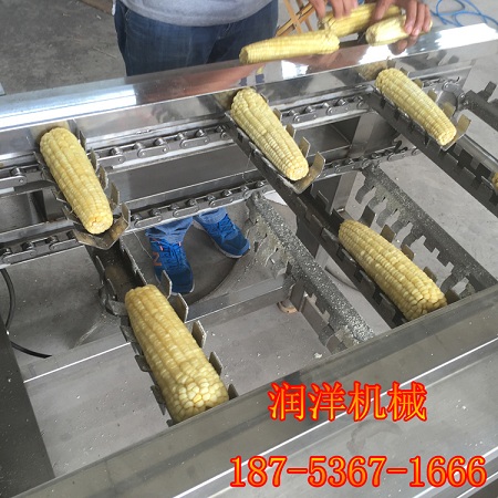 蒸煮休闲玉米块速冻玉米切段机图片