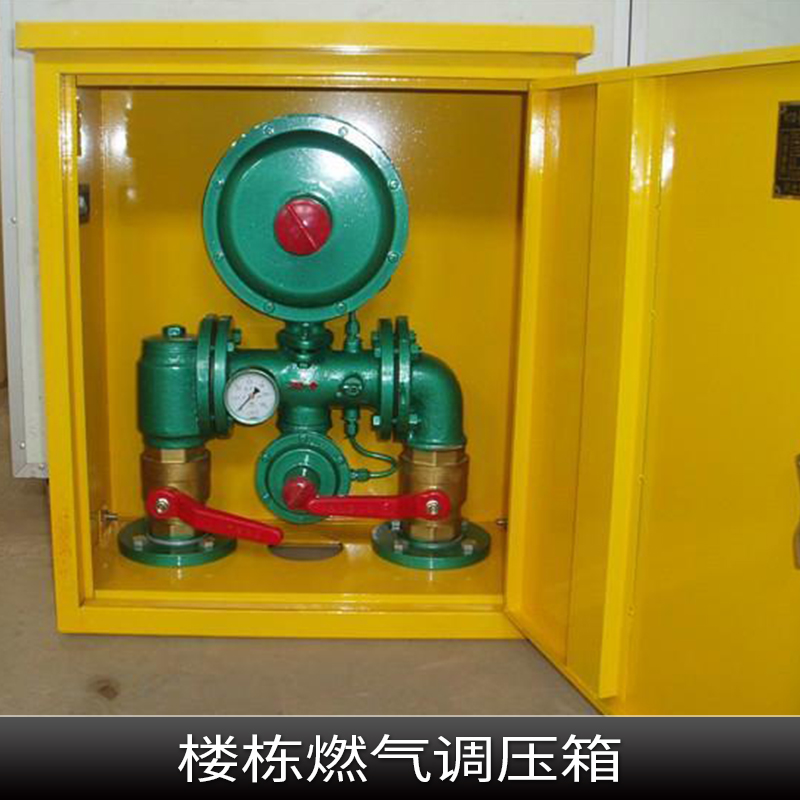 楼栋燃气调压箱设备 管道燃气专用调压柜 楼栋式燃气调压箱 燃气调压器
