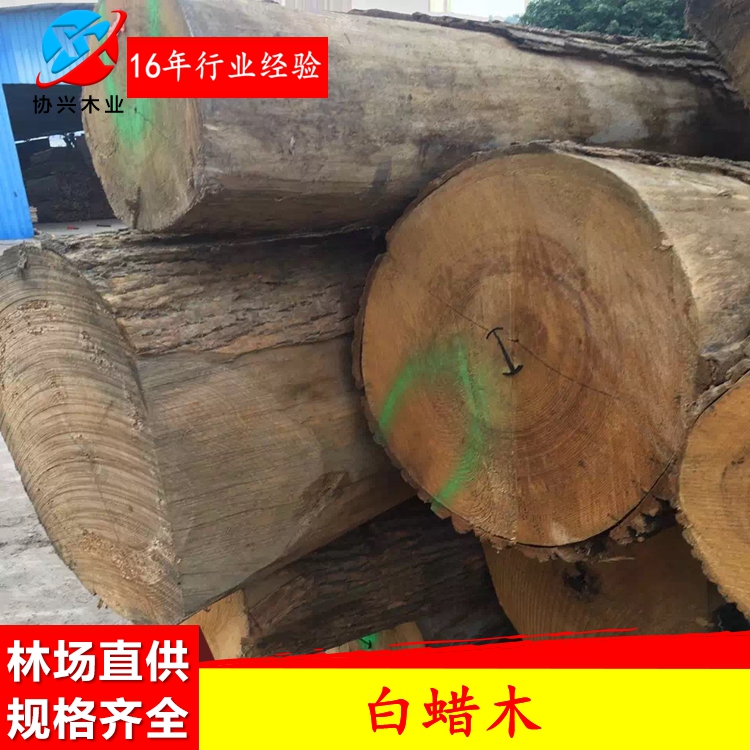 东莞市东莞白蜡木厂家供应欧洲优质白蜡木厂家