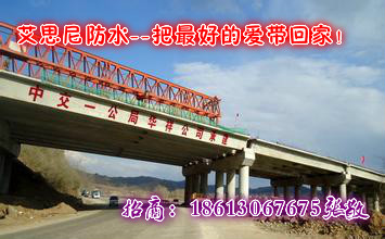 FYT-1路桥用防水涂料厂家艾思尼行情施工工艺FYT-1路桥用防水涂料图片