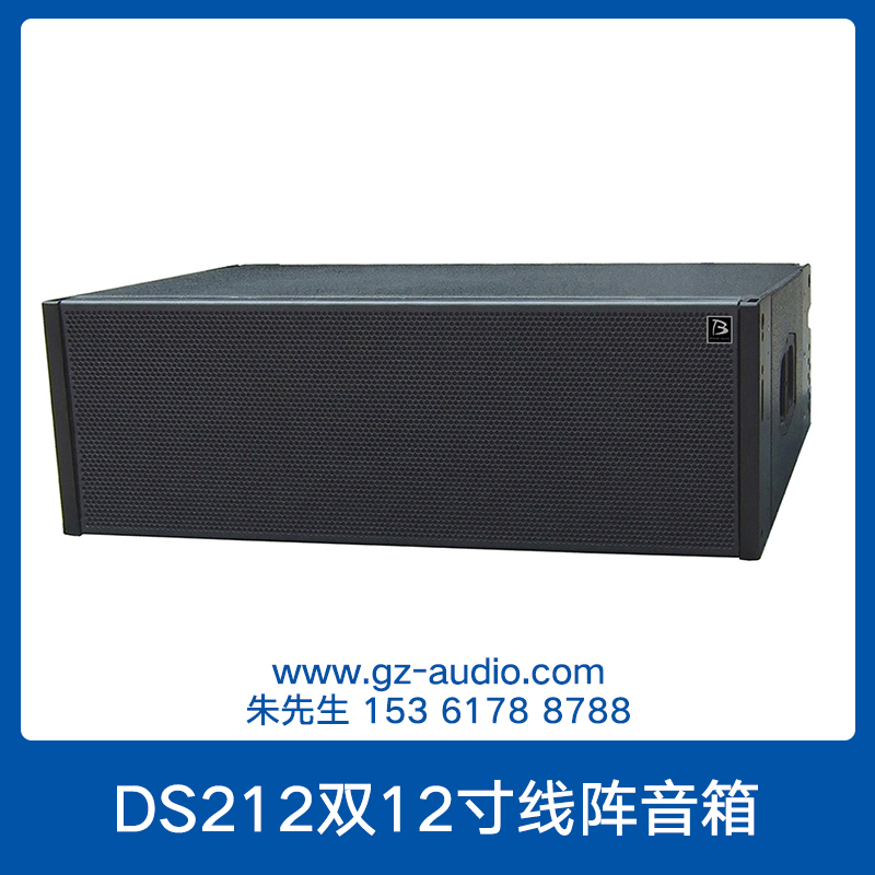 DS212双12寸线阵音箱 舞台远射程大功率高音专业线性阵列音响