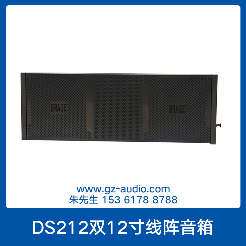 DS212双12寸线阵音箱 舞台远射程大功率高音专业线性阵列音响
