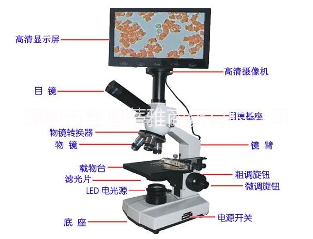 全国包邮正品微循环分析仪显微观察仪图片