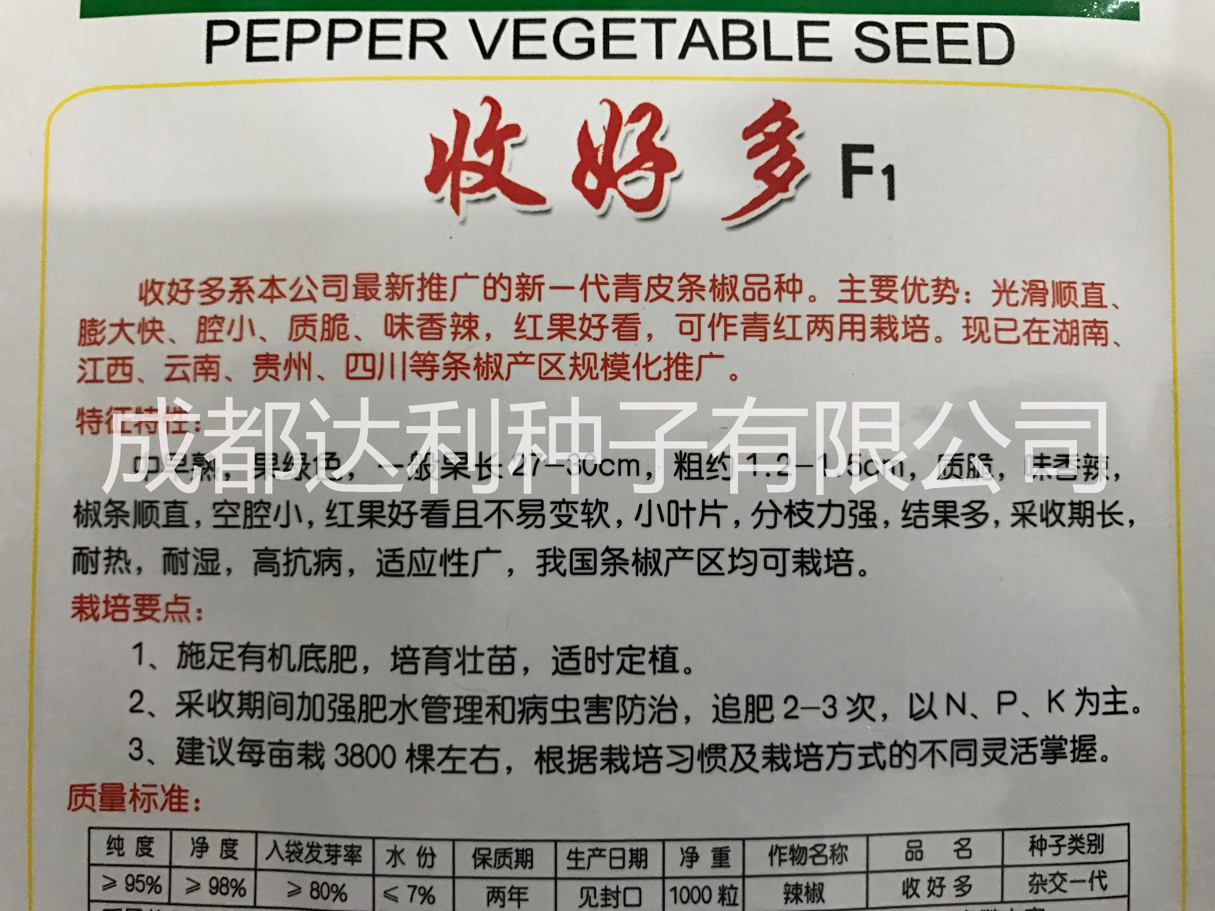 基地专用收好多辣椒种子条椒线椒一代交配