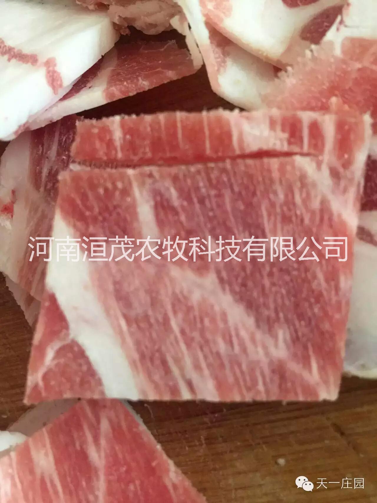 河南禾泰肉品藏香猪养殖基地有机放