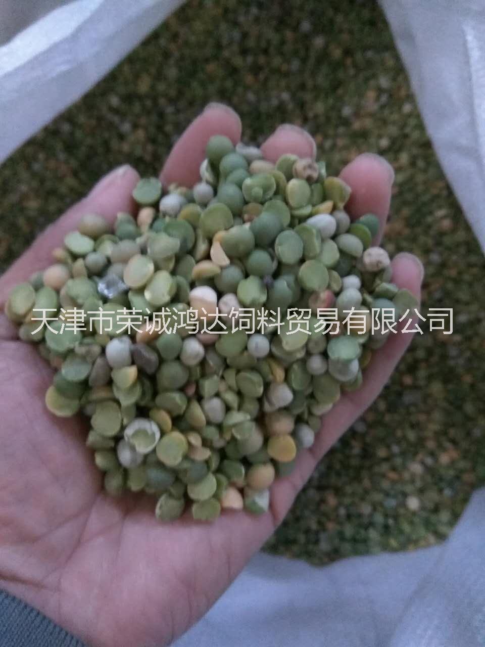 天津市豌豆厂家豌豆