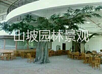 济南市梅花树 如何制作梅花树厂家供应梅花树如何制作梅花树 梅花树 如何制作梅花树