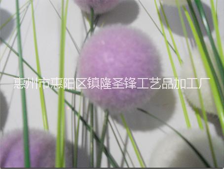 洋葱草 广东洋葱草批发 广东洋葱草批发厂家 广东洋葱草厂家直销