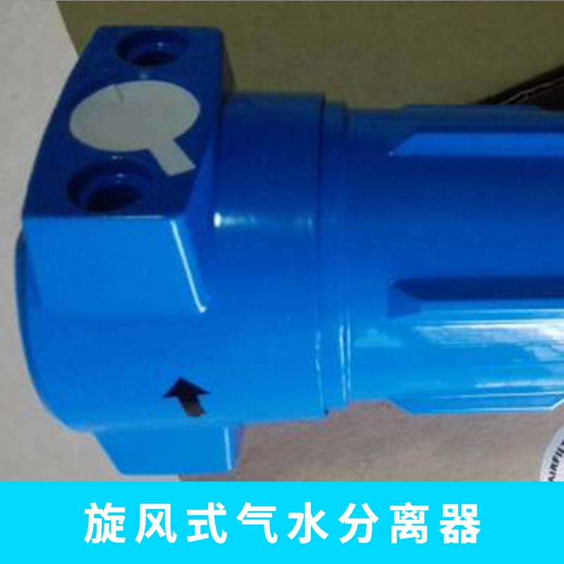 旋风式气水分离器 小型高效率除水循环水真空泵汽水分离设备