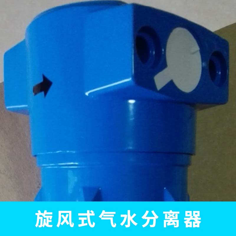 旋风式气水分离器 小型高效率除水循环水真空泵汽水分离设备