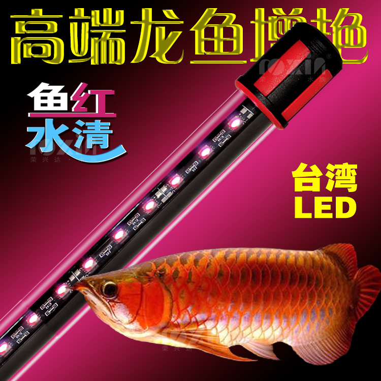单排龙鱼灯鱼缸水族箱LED照明灯红龙鱼专用潜水灯单排高亮度诱色水陆两用灯