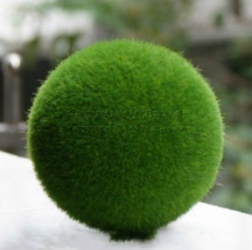 Grass Land人造草厂家批发万汇达提供订做Grass Land人造草 绿色装饰草球
