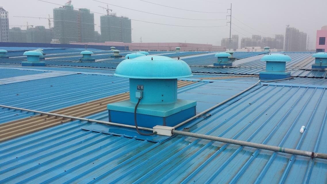 供应用于厂房排风的BDW-87-5玻璃钢屋顶轴流风机