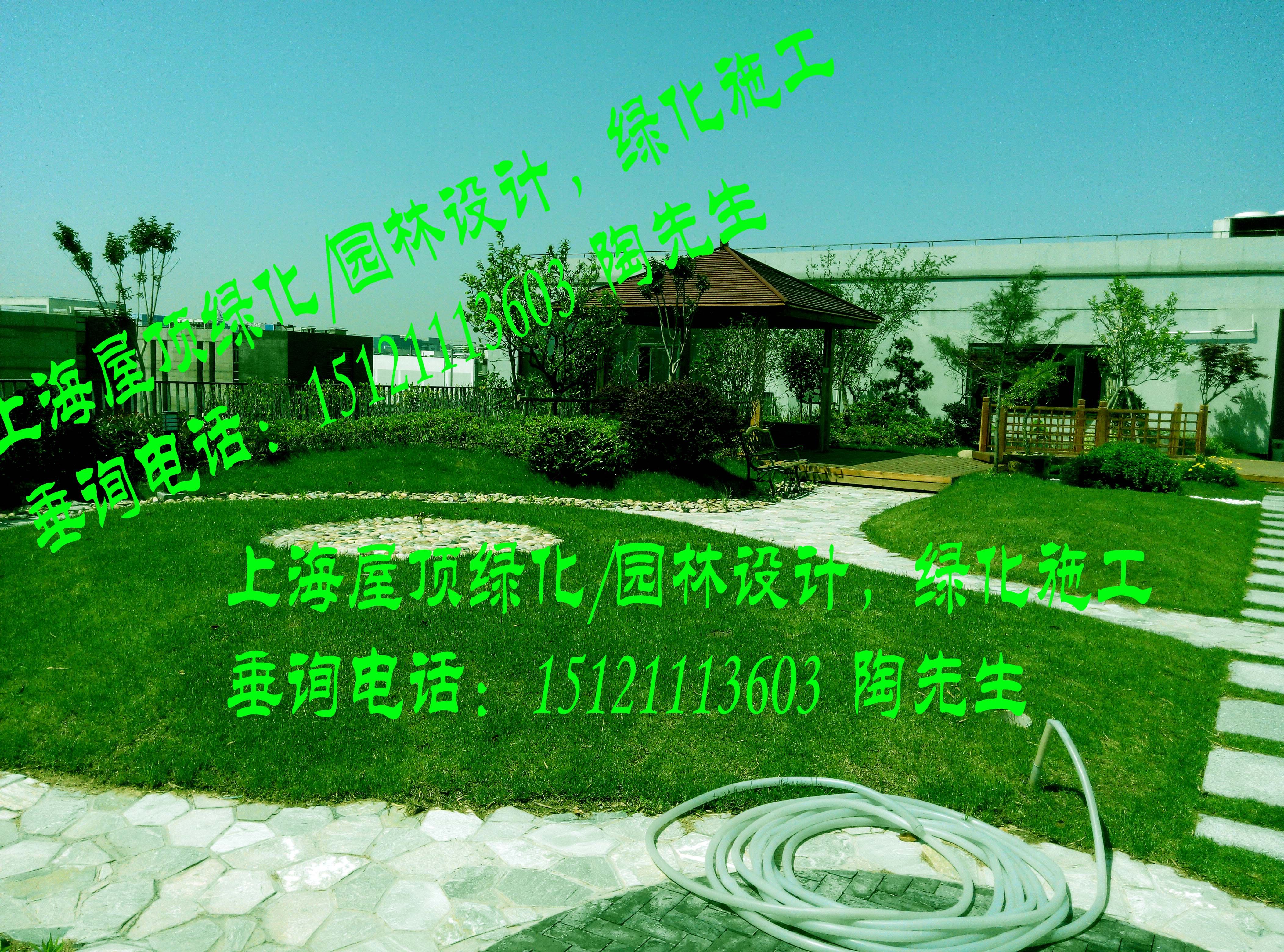 上海市供应厂区室外绿化养护室内绿植租赁厂家