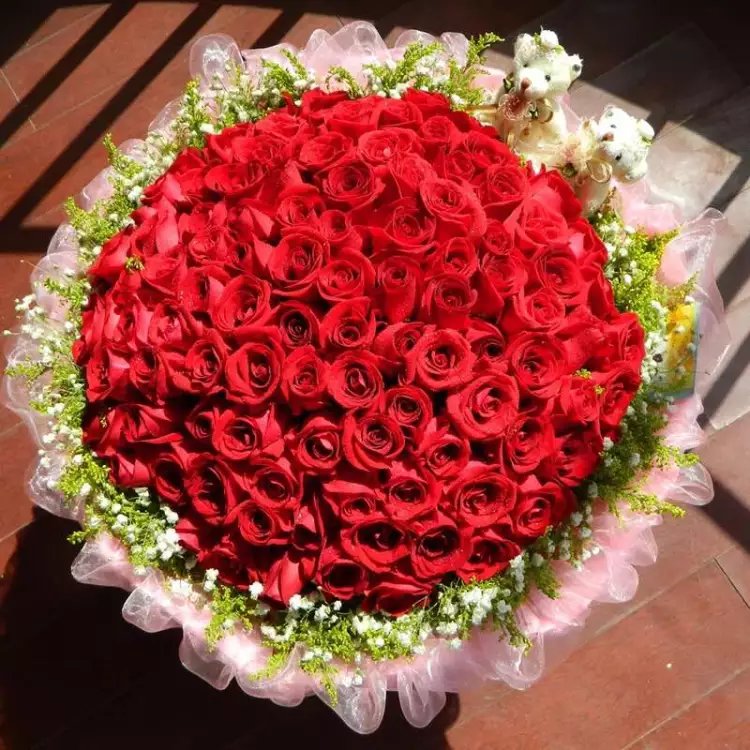 99朵红玫瑰鲜花 生日花束图片