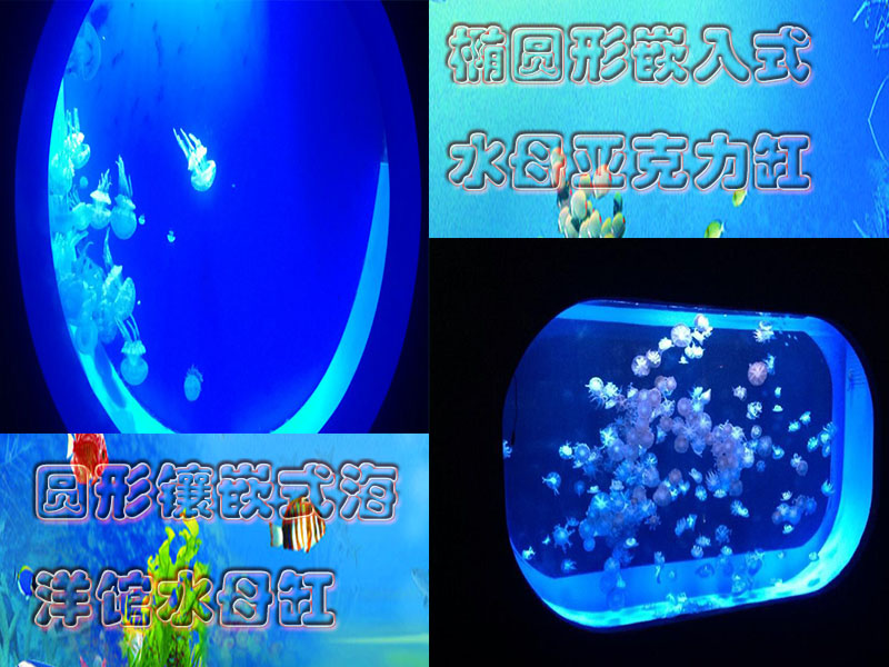 上海市上海专业订制水母鱼缸厂家
