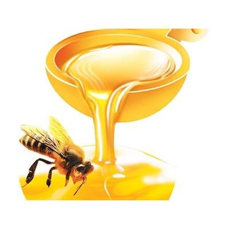 蜂蜜进口深圳港清关时间|办理手续|报关资料