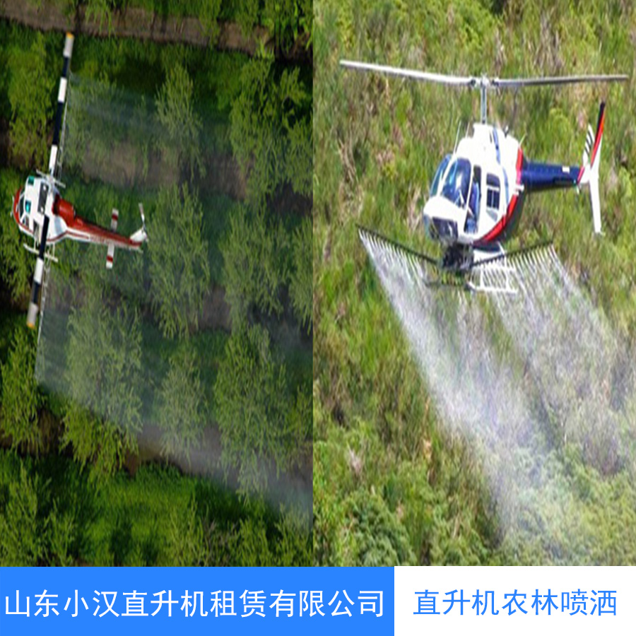 河南直升机农林喷洒 直升机农林喷洒 直升机护林 直升机农林灌溉