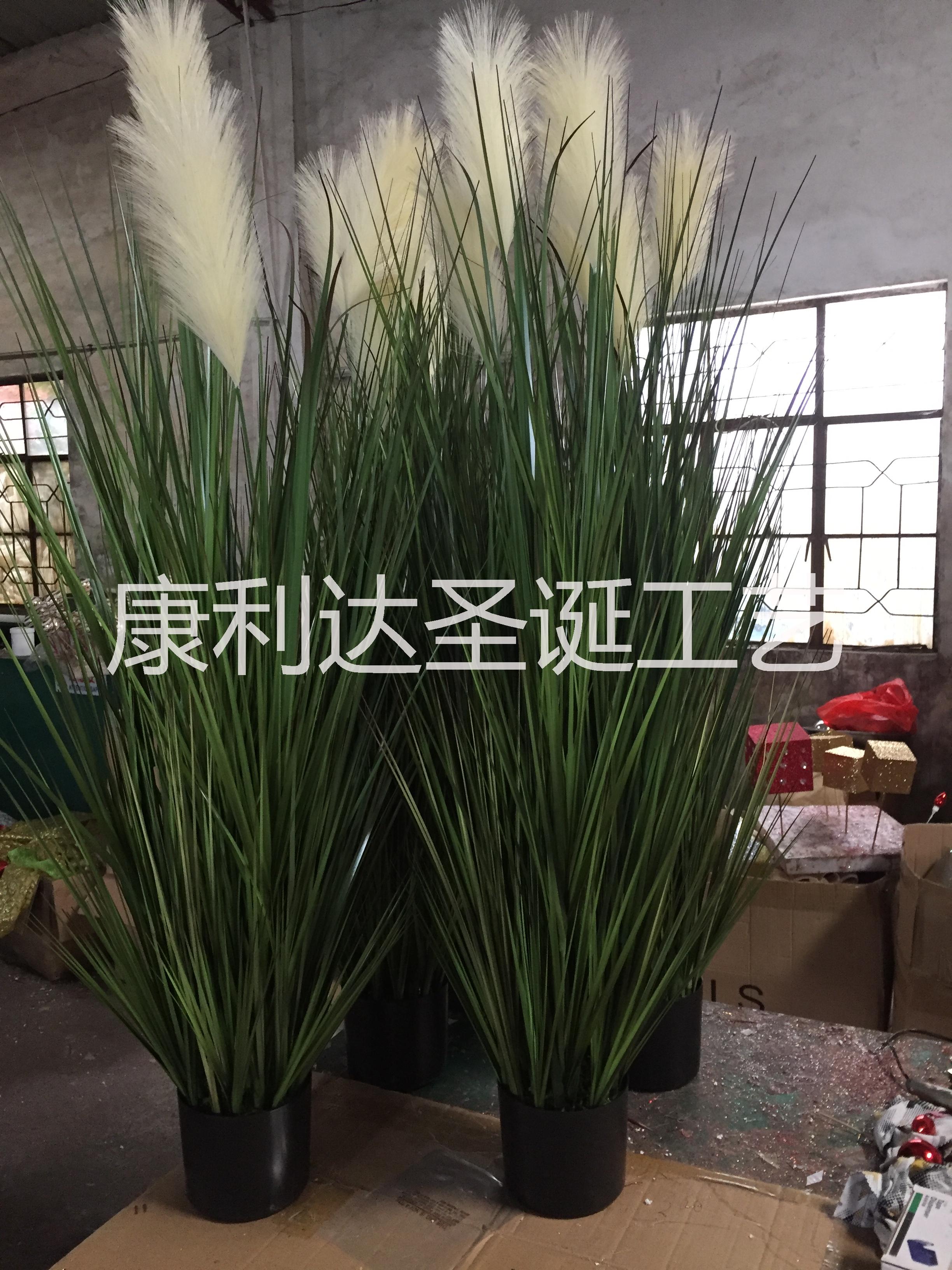 广东洋葱草生产厂家 洋葱草仿真植物价格 洋葱草仿真植物批发洋葱草