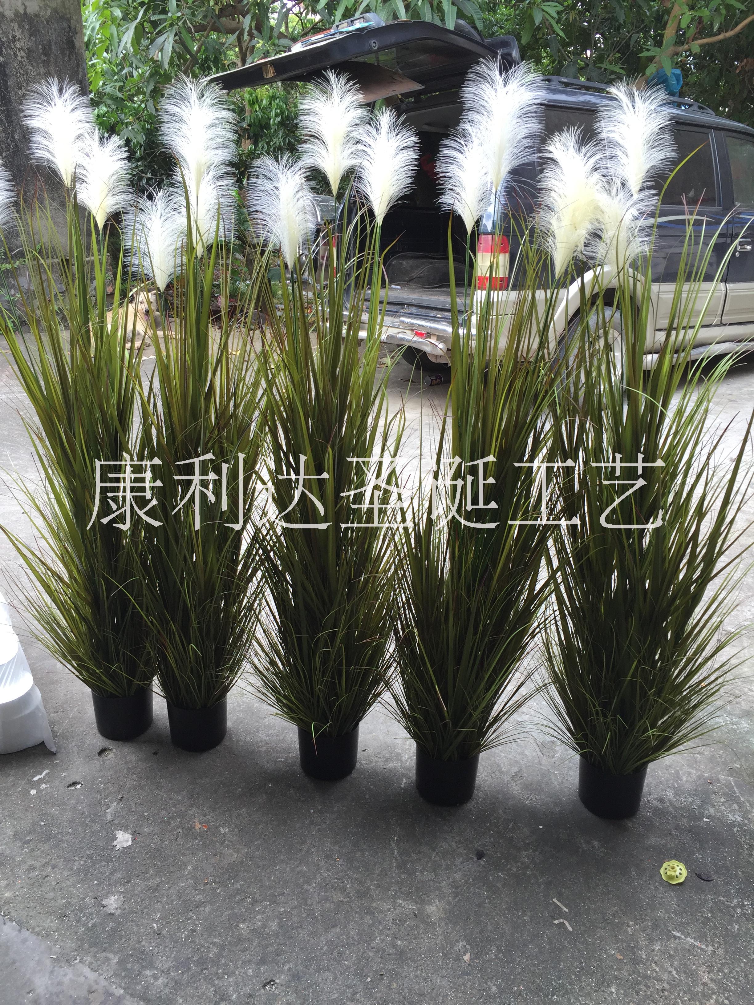 广东洋葱草生产厂家 洋葱草仿真植物价格 洋葱草仿真植物批发洋葱草