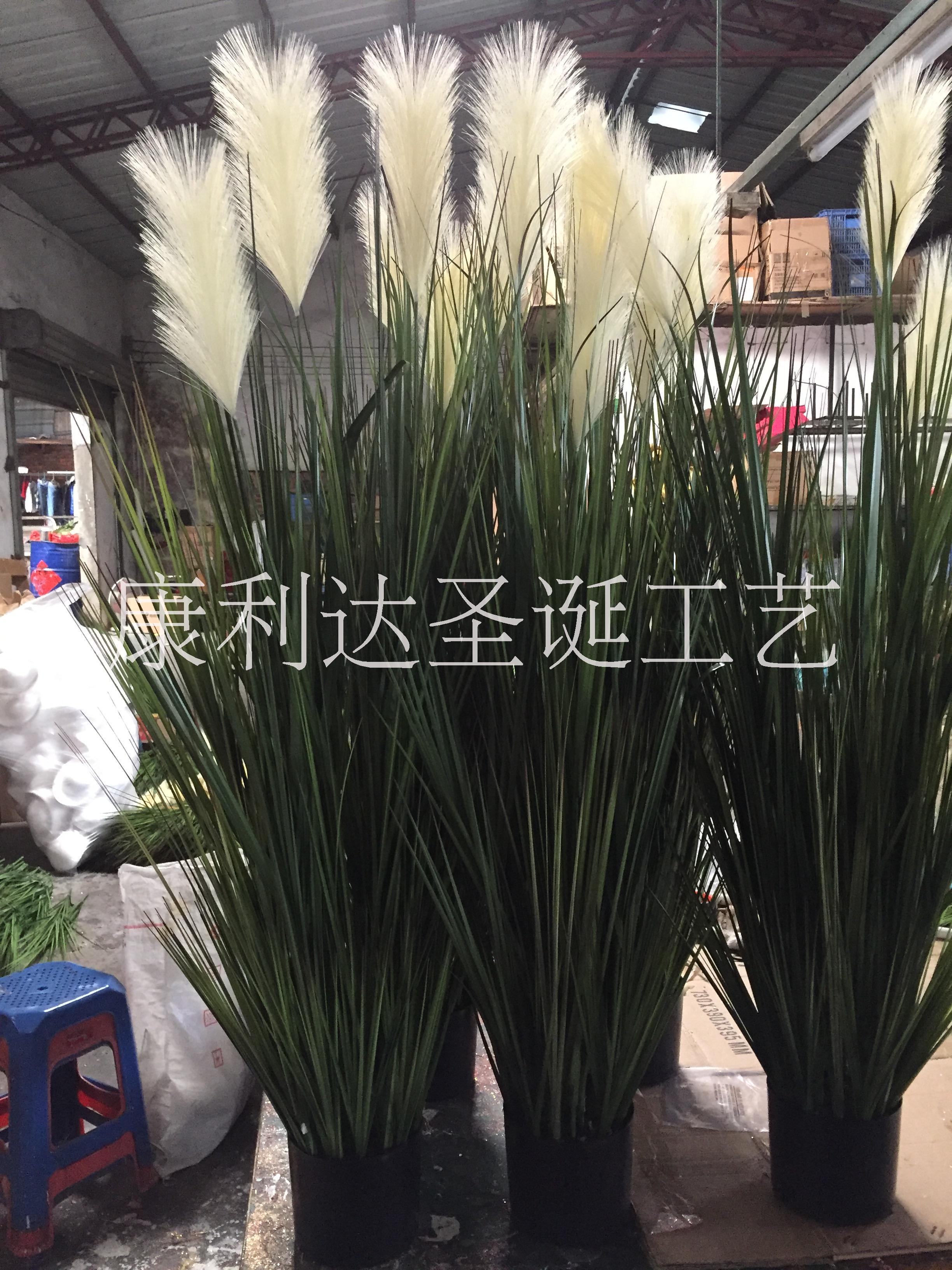 广东洋葱草生产厂家 洋葱草仿真植物价格 洋葱草仿真植物批发洋葱草