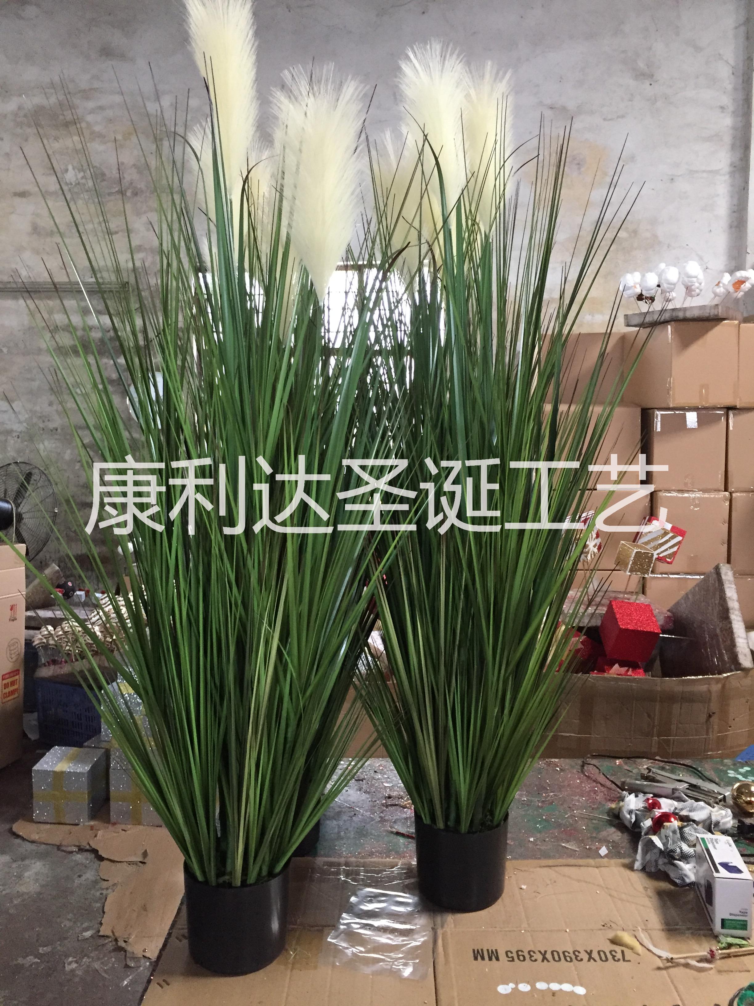 广东洋葱草生产厂家 洋葱草仿真植物价格 洋葱草仿真植物批发洋葱草