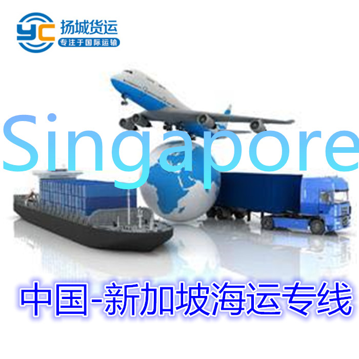 新加坡海运空运专线双清包税门到门 新加坡海运专线双清包税门到门